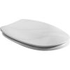 Villeroy and Boch Colani 99996101 toilet seat with lid white *no longer available*