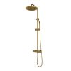 Brauer Carving 5-GG-087-3 body thermostatic rain shower SET 03 gold brushed PVD