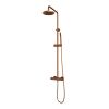 Brauer Edition 5-GK-007-1 body thermostatic rain shower SET 01 copper brushed PVD