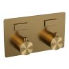 Brauer Edition 5-GG-160 thermostatische inbouw regendouche met drukknoppen SET 49 goud geborsteld PVD