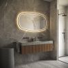 Phantom Mirrors Serie 009 009.100.65 Deens ovale LED spiegel op zwart frame, 100x65 cm met directe en indirecte led rondom