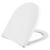 Pressalit Comfort D2 1084111-DK4999 toilet seat with cover black polygiene