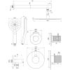 Brauer Carving 5-GG-104 thermostatische inbouw regendouche SET 08 met 30 cm douchekop en rechte muurarm en 3-standen handdouche en doucheslang en wandaansluitbocht goud geborsteld PVD