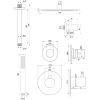 Brauer Edition 5-GM-027 thermostatische inbouw regendouche SET 06 gunmetal geborsteld PVD