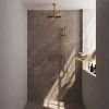 Brauer Carving 5-GG-201 thermostatische inbouw regendouche met drukknoppen SET 66 goud geborsteld PVD