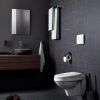 Haceka Edge 1208801 toilet roll holder with lid graphite