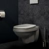 Haceka Ixi 1208474 toilet brush brushed stainless steel