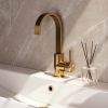 Brauer Carving 5-GG-003-S4 high body basin mixer with swivel flat spout model A gold brushed PVD