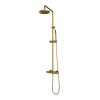 Brauer Carving 5-GG-087-1 surface-mounted thermostatic rain shower SET 01 gold brushed PVD