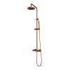 Brauer Carving 5-GK-087-1 surface-mounted thermostatic rain shower SET 01 copper brushed PVD