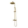 Brauer Edition 5-GG-007-3 surface-mounted thermostatic rain shower SET 03 gold brushed PVD