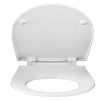 Pressalit Projecta Solid Pro 1002011-DG4925 toiletzitting met deksel wit polygiene