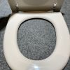 Sphinx Antibes S8H5F00R030 toiletzitting met deksel pergamon