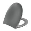 Pressalit Scandinavia PLUS 758112-D05999 toilet seat with cover anthracite gray