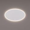Hipp Design SPV 13820 KW spiegel ovaal met directe en indirecte LED verlichting rondom 100x70x3cm