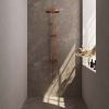 Brauer Carving 5-GK-087-3 surface-mounted thermostatic rain shower SET 03 copper brushed PVD