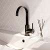 Brauer Carving 5-GM-003-S4 high surface-mounted basin mixer with swivel flat spout model A gunmetal brushed PVD
