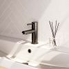 Brauer Edition 5-GM-001 low surface-mounted basin mixer model A gunmetal brushed PVD