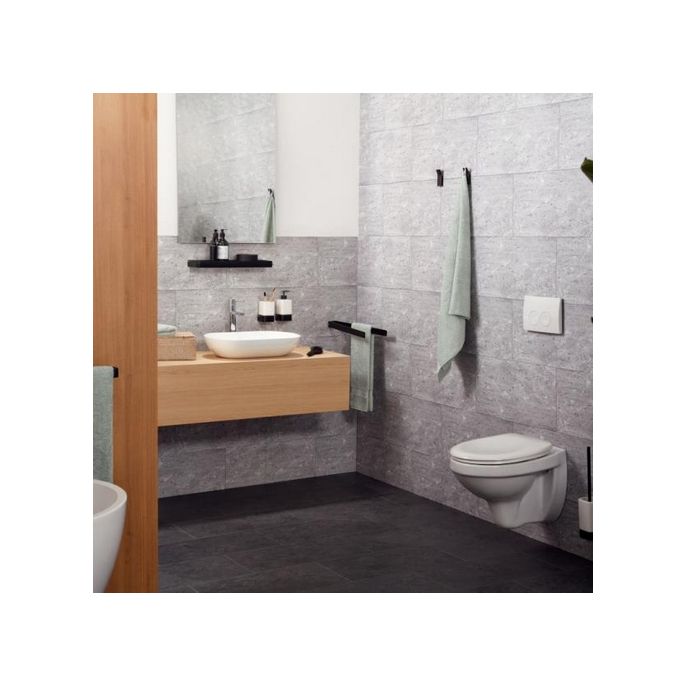 Haceka Aline 1208641 toilet brush white ceramic / matt black