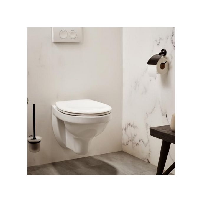 Haceka Aspen 1209513 toilet brush satined glass / matt black