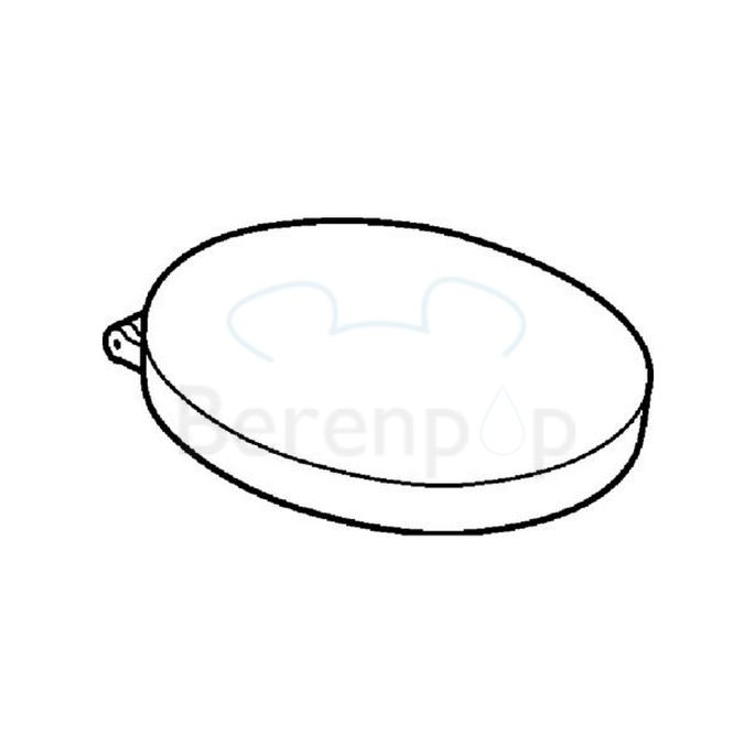 Geberit Cassini 575210000 toilet seat with lid white