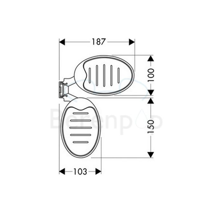 Hansgrohe Raindance Casetta 28698000 Seifenschalen für Brausestang chrom
