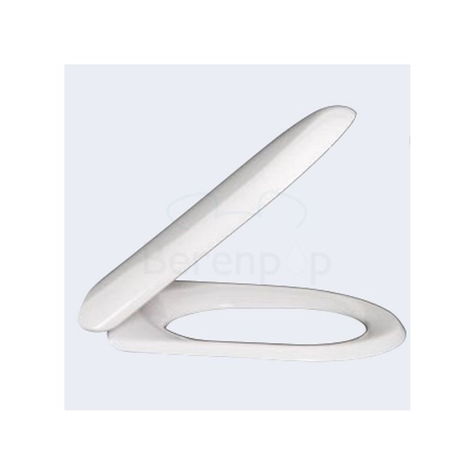 Villeroy en Boch Magnum 92204461 fest eingestellt Scharniere chrom