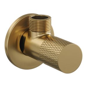 Brauer Carving 5-GG-317 angle stop valve complete with hose gold brushed PVD