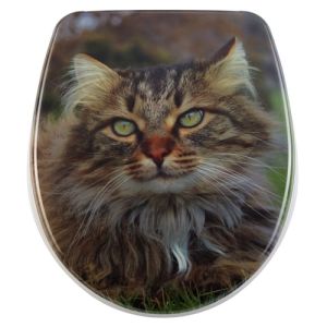 Diaqua Nice 31171202 toilet seat with lid motif Wuschel