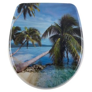 Diaqua Nice 31171213 toilet seat with lid motif Inox Palm