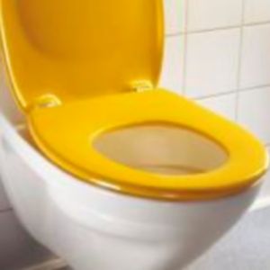 Pressalit Pinocchio (Kindersitz) 212000-BB5999 WC-Sitze mit Deckel weiß