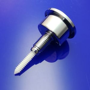 Villeroy en Boch 8L189861 push button chrome