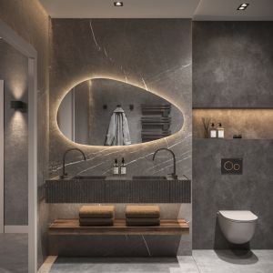 Phantom Mirrors Serie 010 010.100.65 organische LED spiegel, 100x65 cm met directe en indirecte led rondom