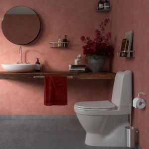 Pressalit Choice Q10200 Toilettenpapierhalter Stahl glänzend