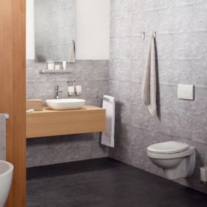 Haceka Aline 1208583 hook brushed aluminum