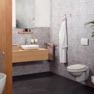 Haceka Aline 1208675 double hook brushed gold