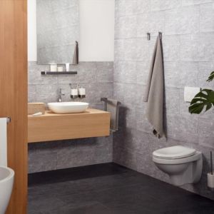 Haceka Aline 1208693 2-Deckel Handtuchhalter 460mm gebürstet grau