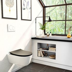 Pressalit Sway D2 994231-DF4999 WC-Sitze mit Deckel mattschwarz