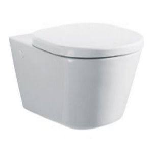 Ideal Standard Tonic K7288AA set van 2 scharnieren chroom *niet meer leverbaar*