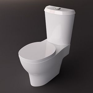 Geberit Cassini 575210000 toilet seat with lid white